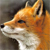 :icon107foxes: