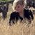 :icon10thfebruary: