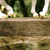 :icon11073julie: