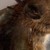 :icon111240: