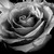 :icon11th-deathgod: