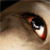 :icon11thangel: