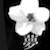 :icon11yume77: