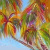 :icon11ziggy11: