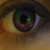 :icon121991: