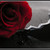 :icon123-luvdz: