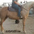 :icon123ald: