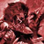 :icon123promethean456: