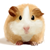 :icon123serenity: