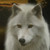 :icon123thunder: