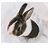 :icon12bunnies:
