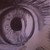 :icon12littlegiant21: