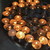 :icon12manylots:
