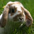 :icon13-camila-13: