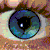:icon1337-1: