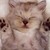 :icon1337painter:
