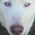 :icon133d: