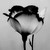 :icon13marina: