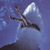:icon13sharkcookies: