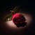 :icon143thesnap: