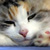 :icon14vanilla: