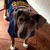 :icon1529jake: