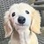 :icon155BPMikey: