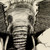 :icon15ake:
