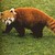 :icon16isme: