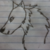 :icon176anime: