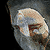 :icon17sec: