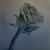 :icon17sp02: