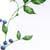 :icon17th-sky: