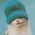 :icon17thapril: