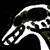 :icon18phobia: