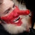 :icon18sieben: