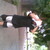 :icon190611:
