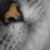 :icon19herradura98: