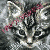 :icon19wolverine: