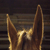 1-WakeTheSun-1 :icon1-wakethesun-1: