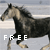 :icon1animaldrawer1: