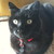 :icon1baldtom1: