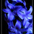 :icon1blueflower1: