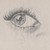 :icon1bv: