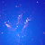 :icon1cadaver: