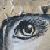 :icon1classicivory1: