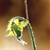 :icon1crackers: