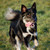:icon1crazy-muma1:
