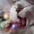 :icon1dcupcake: