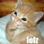 :icon1diehard1: